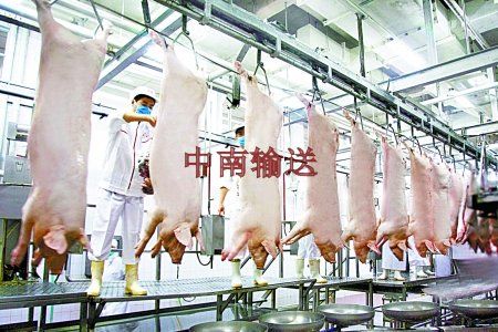 屠宰生产线 屠宰生产线