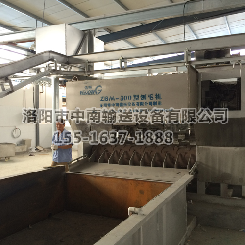 生猪刨毛机 生猪刨毛机